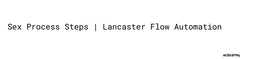 Sex Process Steps Lancaster Flow Automation 3305